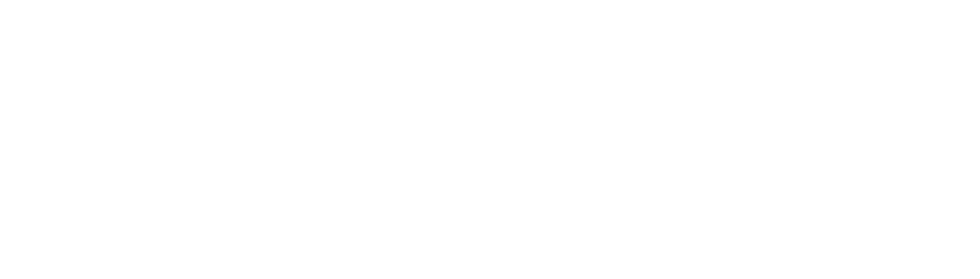 Alisa Childers logo in white